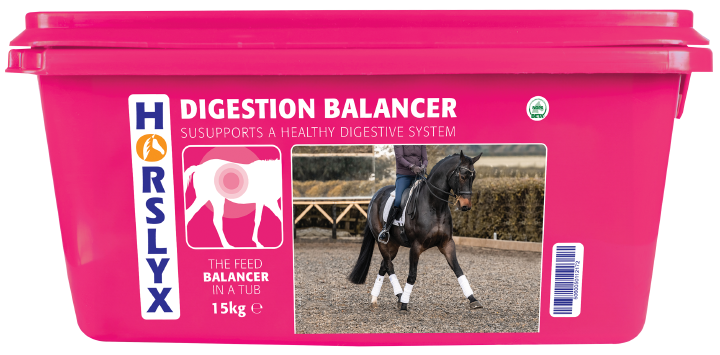 HORSLYX Digestion